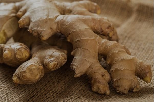 gengibre da baruk import & export - inovação e qualidade no mercado global - gengibre em juazeiro a bahia