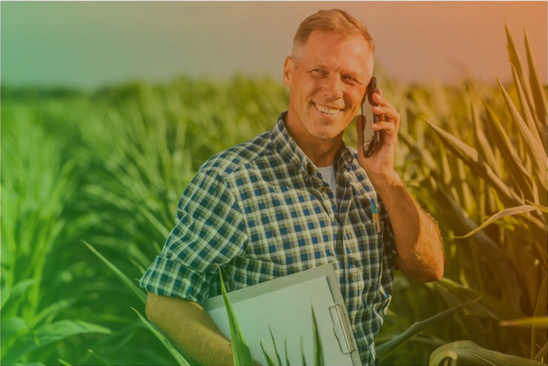 baruk import e export - blog